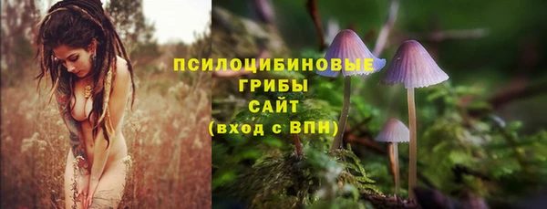 прущий лед Алзамай