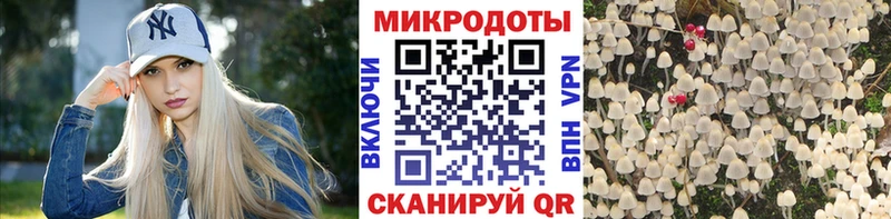 Псилоцибиновые грибы Magic Shrooms  Гаврилов Посад 